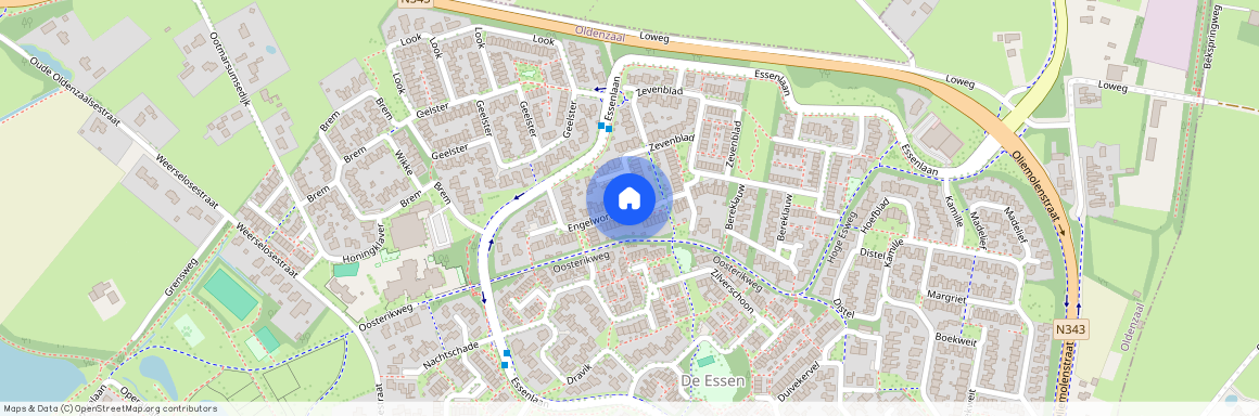 De Essen, 7577 EG, Engelwortel, Oldenzaal