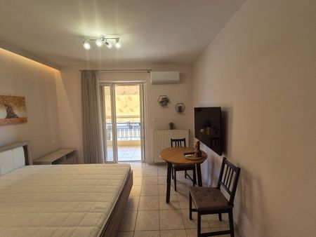 Studio/Γκαρσονιέρα για ενοικίαση Λασπότοπος (Ιωάννινα) - Φωτογραφία 5