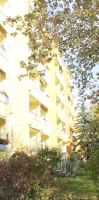 Blick ins Grüne - Photo 1