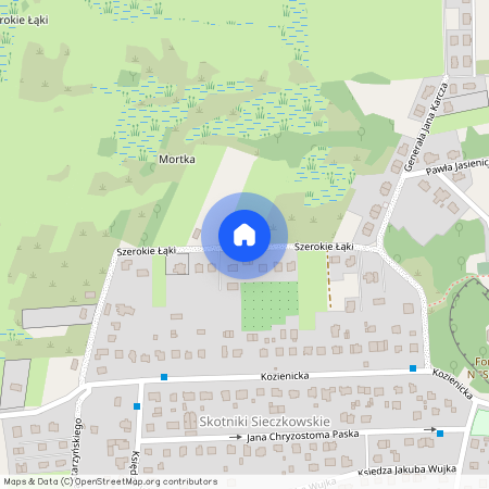 ul. Szerokie Łąki, Kraków