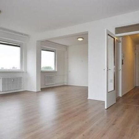 Dignaland, 2591 Den Haag, Nederland - Photo 4