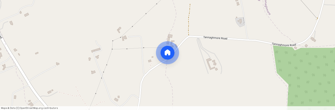 93 Tannaghmore Road, Ballynahinch, BT24 8NU