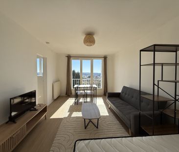 Location Appartement 1 pièce 30m² LIMOGES 87000 - Photo 1