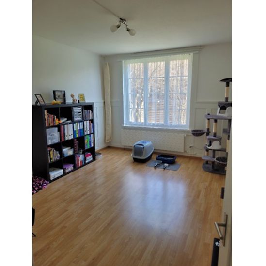 3½ Zimmer-Wohnung in Enggistein (BE), möbliert, auf Zeit - Foto 1