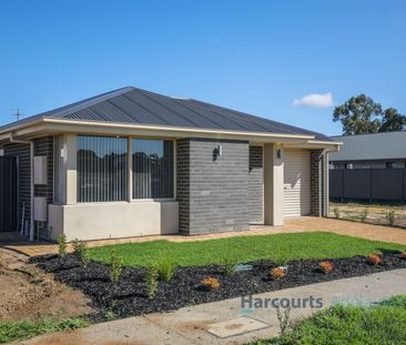 20 Polo Drive, Mount Barker SA 5251 - House For Rent - $600 | Domain - Photo 2