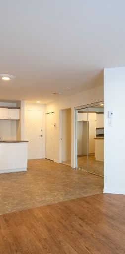 1 CH - 1 SDB - Saint-Charles-Borromée - $1,095 /mo - Photo 1