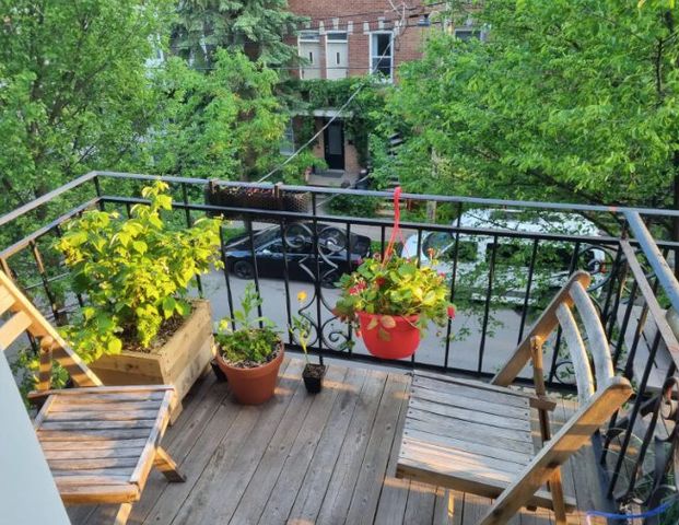 À louer / Appartement - Photo 1