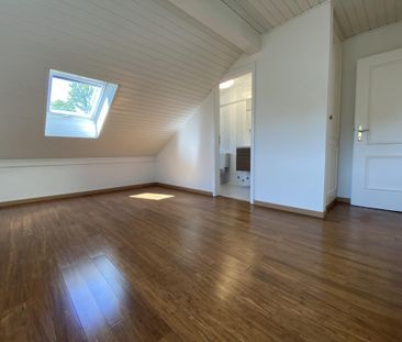 Superb House with Pool in Genthod - Foto 6