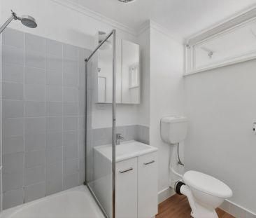 Freshly Updated Boutique Apartment in Prime Aberfeldie Location - Photo 2