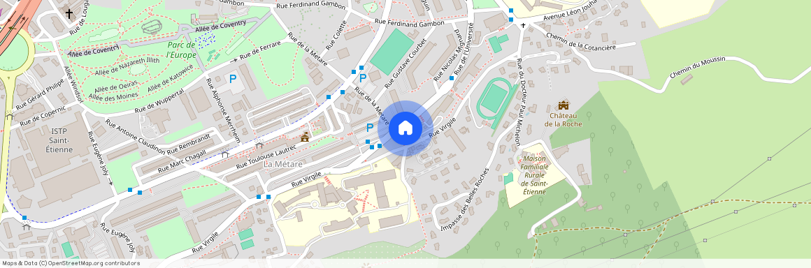 17 RUE DE L'UNIVERSITE, 42000, St Etienne