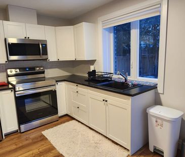 For Lease - 19 Ferris Circle Lane Unit# Basement, Guelph, Ontario - Photo 4