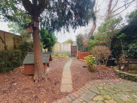 3 bedroom semi-detached house to rent - Photo 3