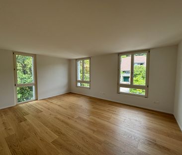 Einzigartige 4.5-Zimmer-Attikawohnung im bevorzugten Steingrubenqua... - Photo 2