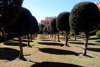 Ref. 35248 Exclusivo apartamento