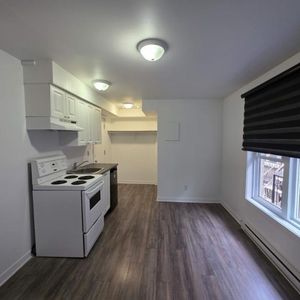 1 CH - 1 SDB - Montréal - $1,095 /mo - Photo 2