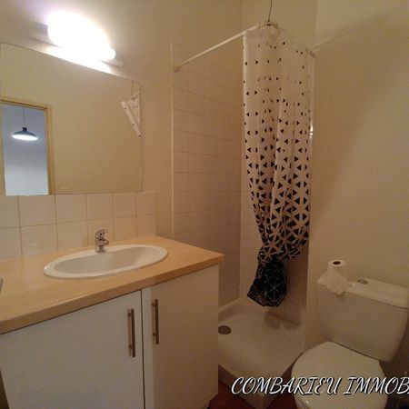 Location Appartement 2 pièces 47m² - Photo 3