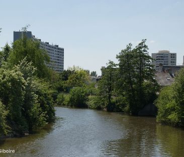 Appartement T2 à louer - 49 m² - Photo 2