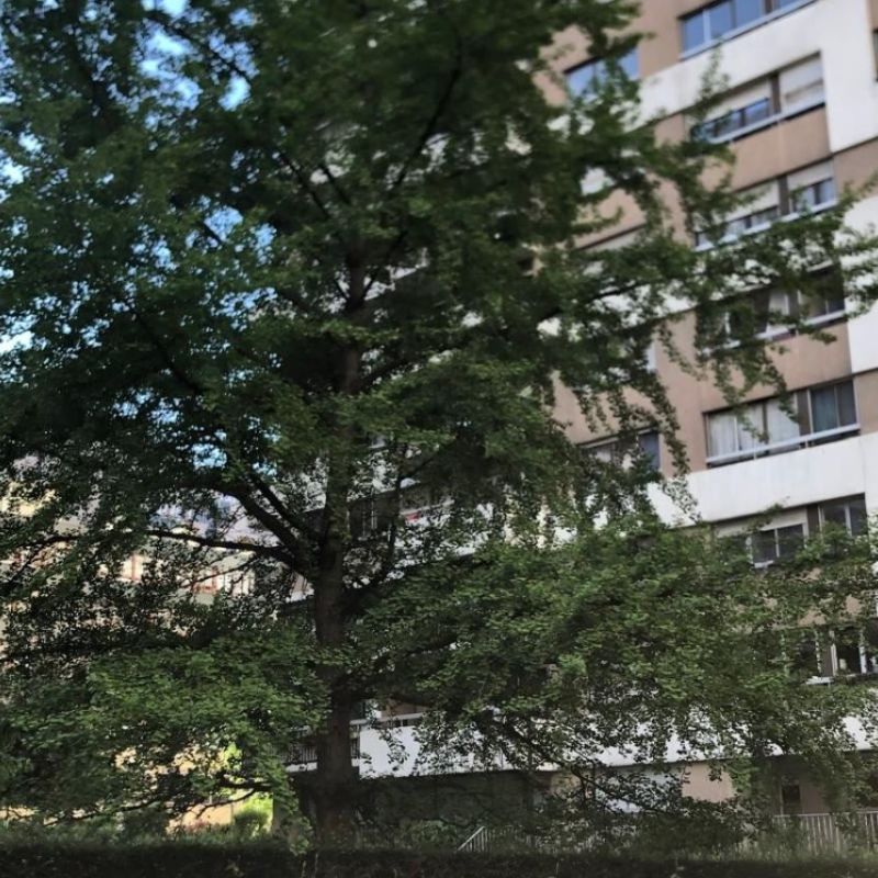 Appartement de 1 pièces - Photo 1