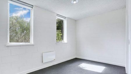 Effortless Inner-West Living at Its Best! - Photo 4