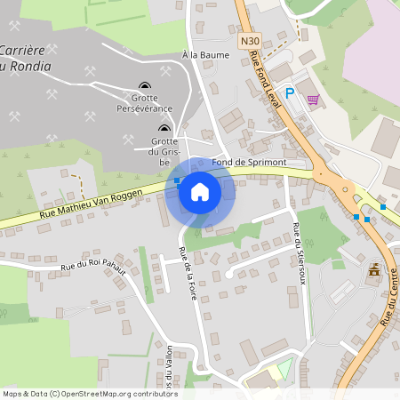 Rue de la Foire, 12, A4, 4140, Sprimont