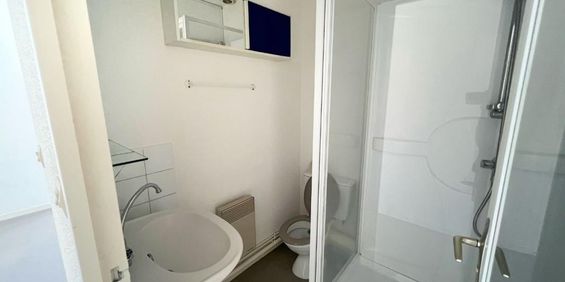 Location Appartement 1 pièce 23m² ROANNE 42300 - Photo 3