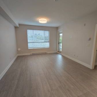 BRAND NEW - 1 bdrm & 1 Bath W/DEN - Pet Friendly - Photo 4