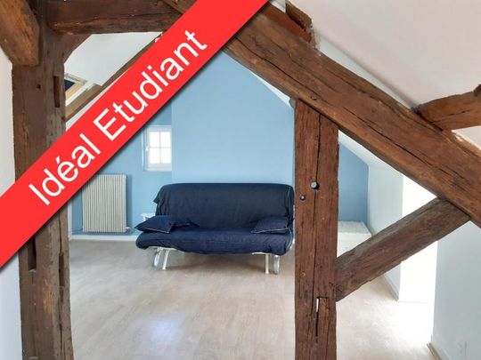 Location Appartement 1 pièce 22m² TOURS 37000 - Photo 1