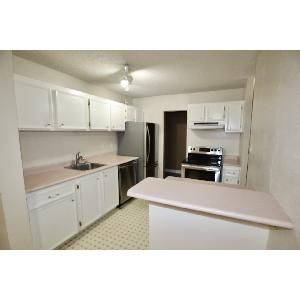 2 Bed plus Den 1 Bath West Edmonton Townhome for Rent - Photo 2