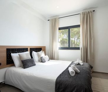 Volta do Pavão - Photo 5