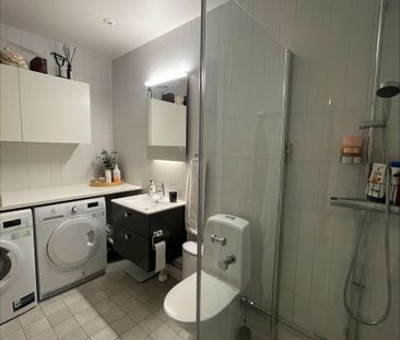 Gaffelseglet, Vega - Photo 2