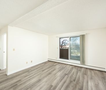 Daly Grove - Photo 6