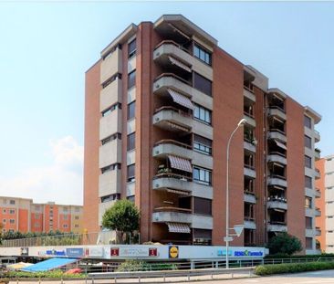 Grazioso 2.5 locali nel cuore di Viganello - Foto 4