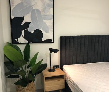 WOW GREAT LOCATION- LUXURIOUS FURNISHED APARTMENT 1x1x1 - Photo 2