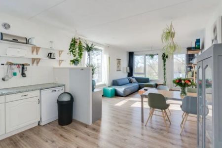 Kreekwaard - Photo 4