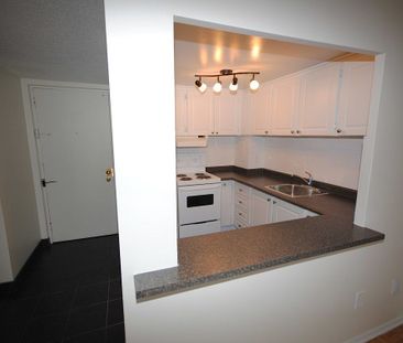 335 MacLaren Street, Centretown, Ottawa, ON - Photo 5