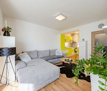 Pronájem bytu 1+kk 50 m² - Fotografie 3