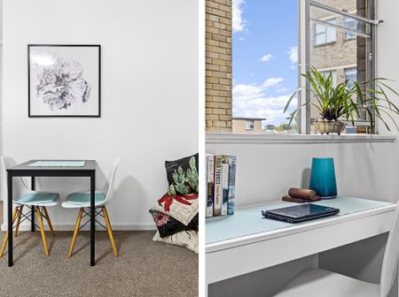 29/53-55 Cook Road, Centennial Park NSW 2021 - Studio For Rent | Domain - Photo 2