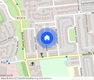 (COPY of) Dunmorlie Street, Walker, Newcastle Upon Tyne, NE6 - Photo 1