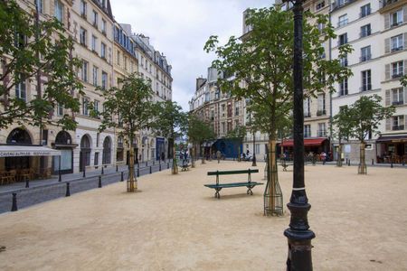 Location place Dauphine, Paris 1er - Photo 3