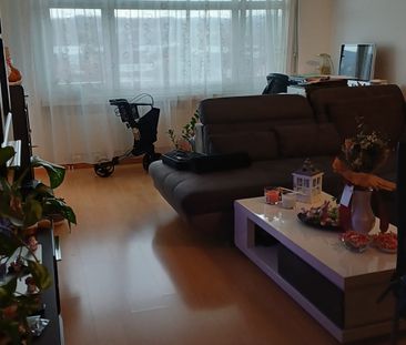 2.5 Zimmer, 45 m² - Foto 1