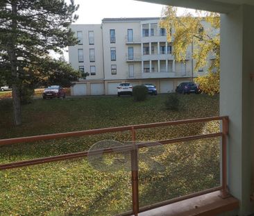 Location Appartement 1 pièce 21m² VANDOEUVRE LES NANCY 54500 - Photo 2