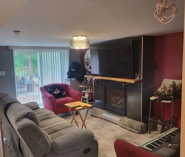 For Lease - 56 Argyle Crescent Unit# Bsmt, St. Catharines, Ontario - Photo 2