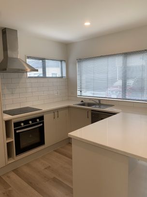 49 Black Beech Cres, Takanini - Photo 1