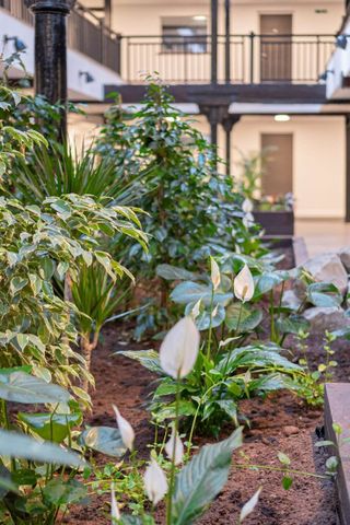 Wetmore Road - Photo 2