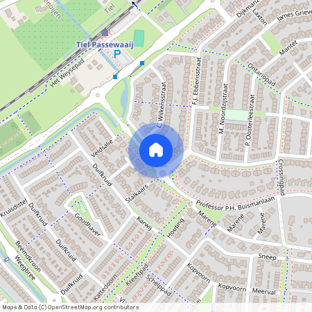 J. van Zantenstraat, 4007WC, Tiel