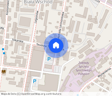 Mieszkanie 2 pokoje 55 m² |Bezczynszowe | ul. Lermontowa Bielsko-Biała - Photo 1