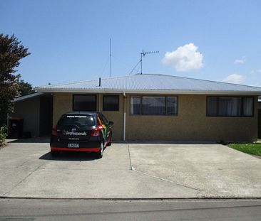 159A Cook Street, West End, Palmerston North - Photo 1