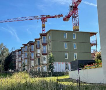 Erstbezug 4.5-Zimmer-Genossenschafts-Wohnungen in Arbon in unmittel... - Photo 4