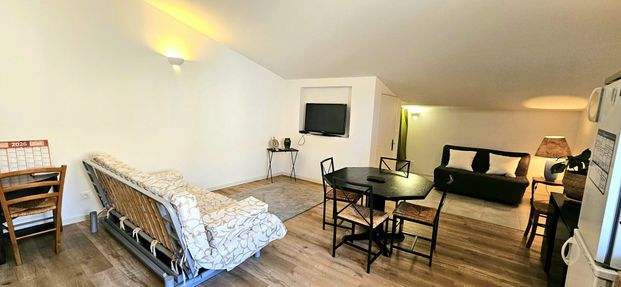 Location Appartement 2 pièces 46m² GONFARON 83590 - Photo 1