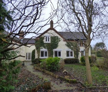 4 bedroom detached house to rent - Photo 4